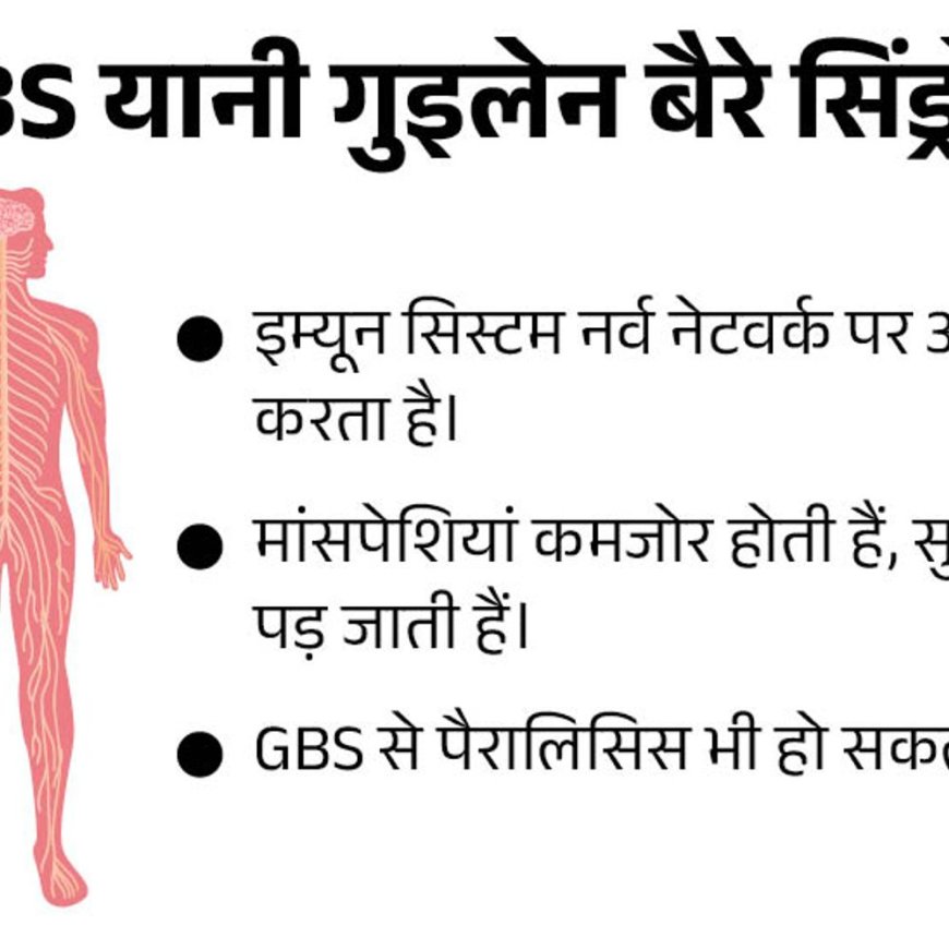 महाराष्ट्र में GB सिंड्रोम के 7 नए केस:मरीजों की संख्या 180 हुई; 22 वेंटिलेटर पर और 58 ICU में, अबतक 6 की मौत