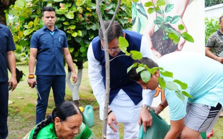 मुख्यमंत्री पुष्कर सिंह धामी ने 'एक पेड़ माँ के नाम' अभियान के तहत किया पौधारोपण