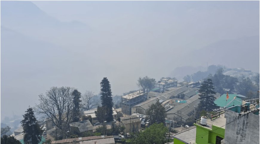 रिमझिम बारिश के साथ समय पर उत्तराखंड पहुंचा मानसून, ज्यादातर इलाकों में वर्षा जारी, भारी बारिश का अलर्ट