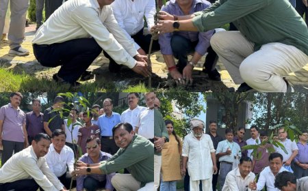 हरेला पर्व पर MDDA की हरित पहल: वृक्षारोपण एवं पौधा वितरण कार्यक्रम का सफल आयोजन