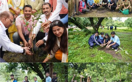 एसजीआरआर विश्वविद्यालय में हरेला पर्व पर आयोजित विशेष पौधारोपण अभियान