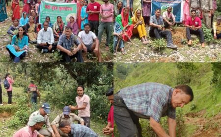 मैती श्री राम वन में कल्याण सिंह रावत ने हरेला पर्व पर वृक्षारोपण किया