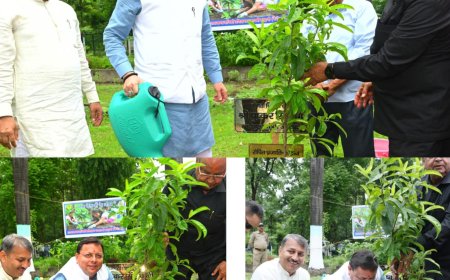 मुख्यमंत्री ने ‘एक पेड़ माँ के नाम’ अभियान के तहत वृक्षारोपण कर पर्यावरण संरक्षण का संदेश दिया