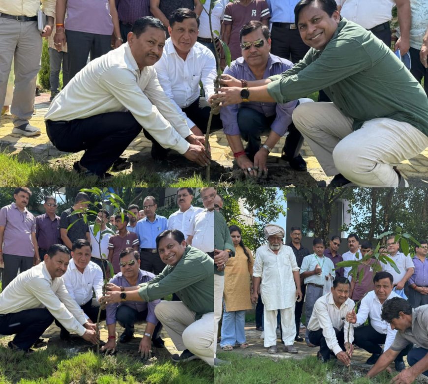 हरेला पर्व पर MDDA की हरित पहल, वृक्षारोपण एवं पौधा वितरण कार्यक्रम का भव्य आयोजन