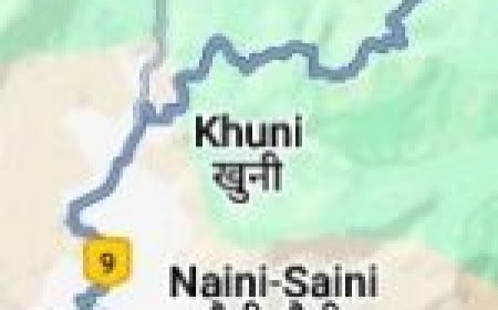 मुख्यमंत्री धामी ने सीओ भवाली और कोतवाल तल्लीताल का स्थानांतरण किया, जांच के आदेश दिए