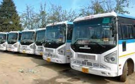 दीपावली पर दिल्ली, बरेली और हल्द्वानी जैसे मार्गों के लिये चलाई गईं अतिरिक्त बसें