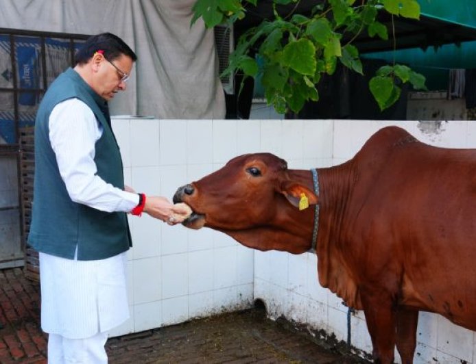 मुख्यमंत्री पुष्कर सिंह धामी ने गौ माता की पूजा-अर्चना कर प्रदेश की खुशहाली कामना की