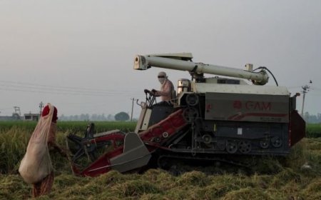 श का पहला किसान-केन्द्रित कार्बन क्रेडिट मॉडल तैयार, तकनीक और शासन के संगम से संभव हुआ प्रयास..