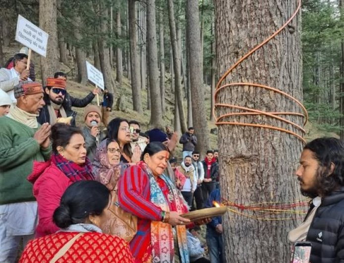 गंगोत्री नेशनल हाईवे चौड़ीकरण में बड़ा पर्यावरणीय बदलाव, 5,400 से अधिक देवदार के पेड़ बचेंगे..