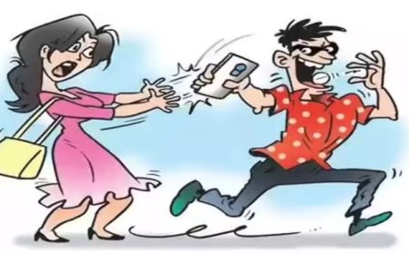 नैनीताल में झपटमार गैंग का आतंक, पुलिस ने किया बड़ा खुलासा