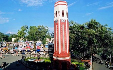 उत्तराखंड में बढ़ता गुलदार आतंक: चार दिन में चार मौतें - जानिए पूरा सच