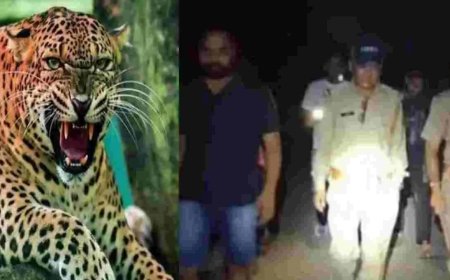 Dehradun guldar attack today: देहरादून गुलदार का हमला जंगल में मिला क्षत-विक्षत शव