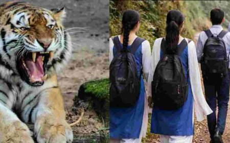 नैनीताल स्कूल अवकाश: भीमताल में बाघ के आतंक के चलते 27 अप्रैल तक स्कूल बंद