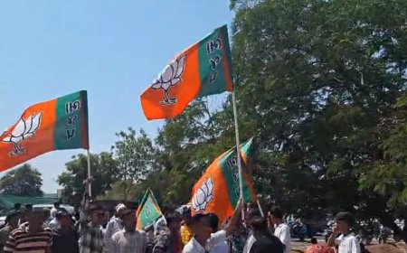 गुजरात स्थानीय निकाय चुनाव: भाजपा ने नौ नगर निगमों में जीती चुनावी जंग, मतगणना अभी भी जारी