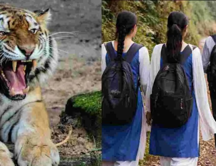 नैनीताल स्कूल अवकाश: भीमताल में बाघ के आतंक के चलते 27 अप्रैल तक स्कूल बंद