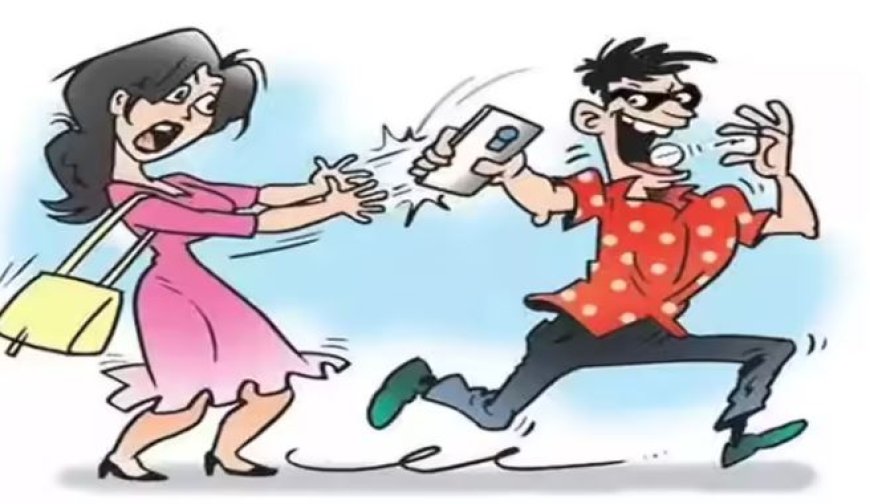 नैनीताल में झपटमार गैंग का आतंक, पुलिस ने किया बड़ा खुलासा