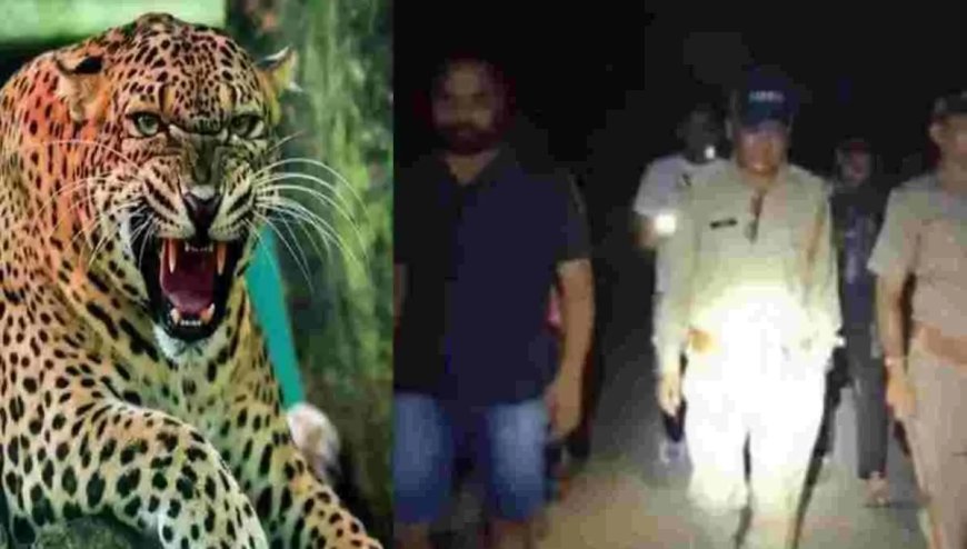 Dehradun guldar attack today: देहरादून गुलदार का हमला जंगल में मिला क्षत-विक्षत शव