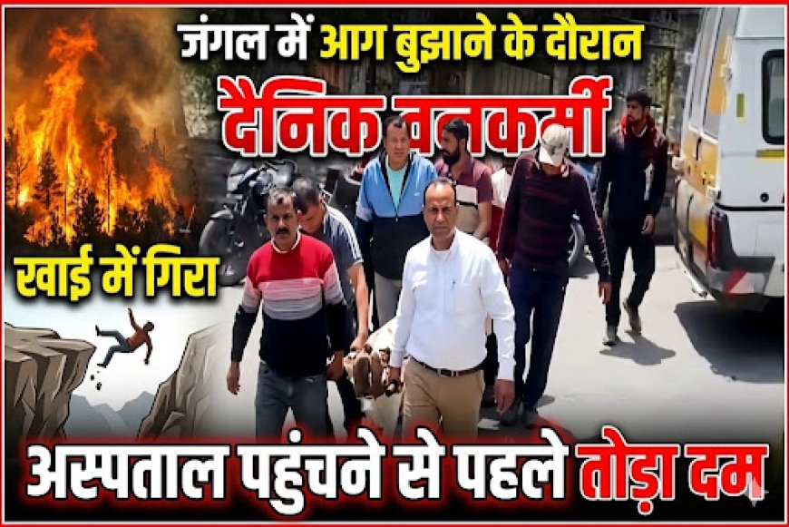 नैनीताल में जंगल की आग बुझाने के दौरान दैनिक वनकर्मी की खाई में गिरने से हुई tragically मौत