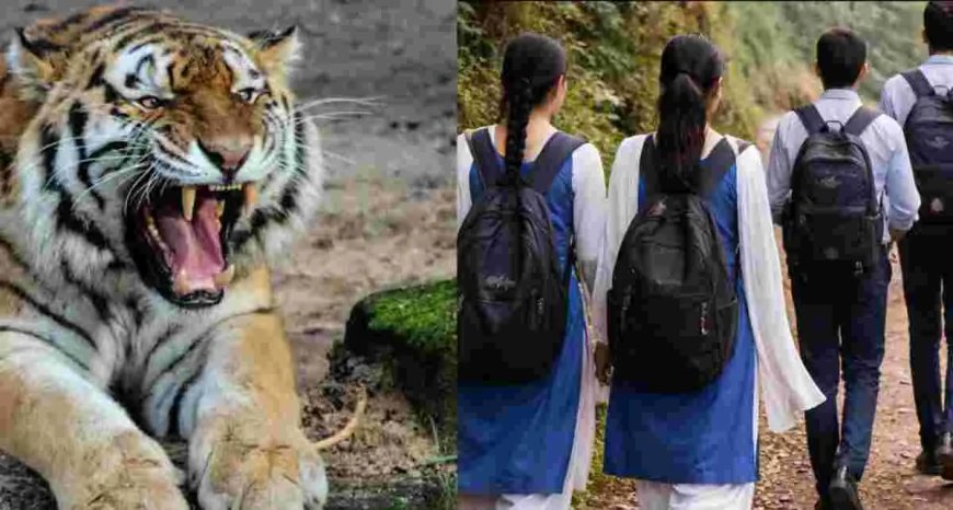 नैनीताल स्कूल अवकाश: भीमताल में बाघ के आतंक के चलते 27 अप्रैल तक स्कूल बंद