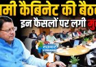 बड़ी राहत: धामी कैबिनेट ने आंदोलनकारियों को दी बड़ी सौगात, चारधाम यात्रा के पशुओं का होगा बीमा