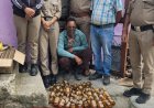 सतेराखाल: आबकारी विभाग की सख्त कार्रवाई में बरामद हुई भारी मात्रा में अवैध शराब