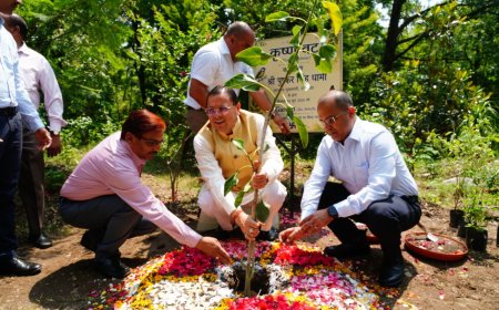 मुख्यमंत्री आवास में 3-बी गार्डन का आगाज, प्रदूषण से लड़ने की दिशा में एक कदम