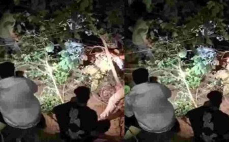 उत्तराखंड समाचार: नैनीताल-कालाढूंगी मार्ग पर टेंपो ट्रैवलर दुर्घटना, दो महिलाओं की हुई दर्दनाक मौत