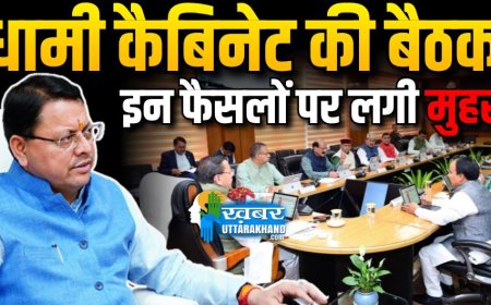 बड़ी राहत: धामी कैबिनेट ने आंदोलनकारियों को दी बड़ी सौगात, चारधाम यात्रा के पशुओं का होगा बीमा