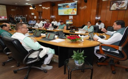 धामी कैबिनेट निर्णय: 12 प्रस्तावों पर स्वीकृति, जानिए पूर्ण जानकारी