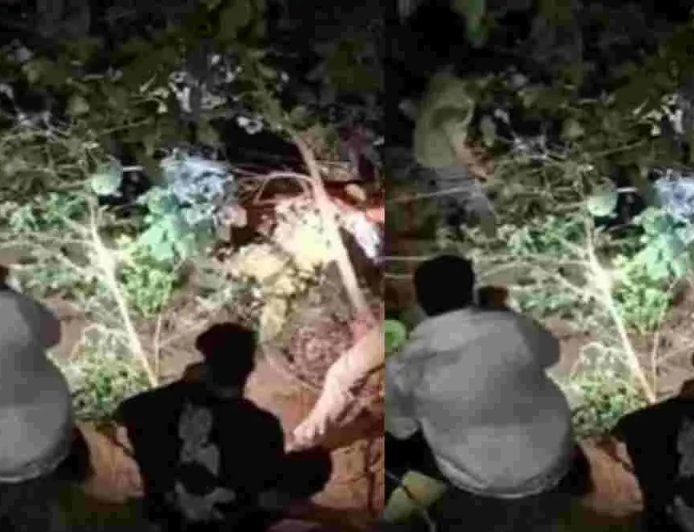 उत्तराखंड समाचार: नैनीताल-कालाढूंगी मार्ग पर टेंपो ट्रैवलर दुर्घटना, दो महिलाओं की हुई दर्दनाक मौत