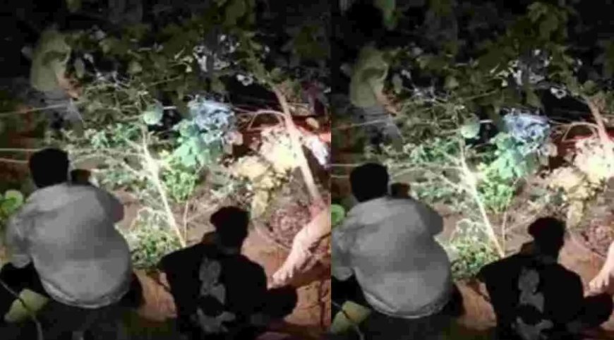 उत्तराखंड समाचार: नैनीताल-कालाढूंगी मार्ग पर टेंपो ट्रैवलर दुर्घटना, दो महिलाओं की हुई दर्दनाक मौत