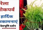 हरेला पर्व 2026 की शुभकामनाएं और विशेष तथ्य | Happy Harela Festival Wishes Hindi 2026