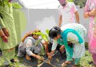 उत्तराखंड में हरेला पर्व पर दीप्ति रावत भारद्वाज ने किया वृक्षारोपण, पर्यावरण संरक्षण के लिए उठाया कदम