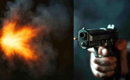 उत्तराखंड: ऋषिकेश में मां ने शराब पीने से टोका तो बेटे ने गोली मारी - एक दर्दनाक घटना