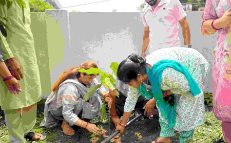 उत्तराखंड में हरेला पर्व पर दीप्ति रावत भारद्वाज ने किया वृक्षारोपण, पर्यावरण संरक्षण के लिए उठाया कदम