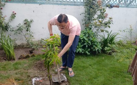 HARELA 2026: उत्तराखंड में धूमधाम से मनाया जा रहा लोकपर्व हरेला, मुख्यमंत्री धामी ने दी शुभकामनाएं