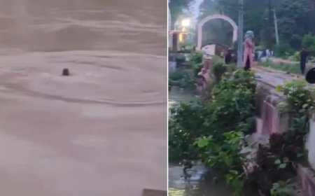 हरिद्वार: युवती ने पुल से गंगनहर में लगाई छलांग, वीडियो हुआ वायरल