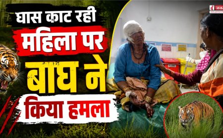 बाघ के हमले का शिकार हुई महिला, बहू ने दिखाई हिम्मत और बचाई जान, इलाके में फैली दहशत