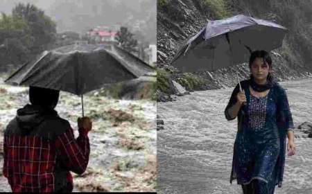 उत्तराखंड मौसम समाचार: 31 जुलाई तक बारिश का ऑरेंज और येलो अलर्ट जारी