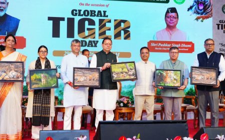 International Tiger Day : विश्व बाघ दिवस पर सीएम धामी ने दिया बड़ा संदेश, जानिये क्या कुछ कहा