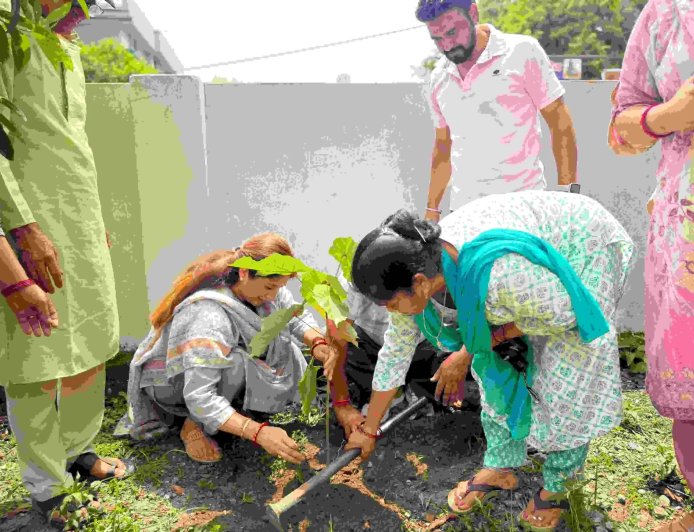 उत्तराखंड में हरेला पर्व पर दीप्ति रावत भारद्वाज ने किया वृक्षारोपण, पर्यावरण संरक्षण के लिए उठाया कदम