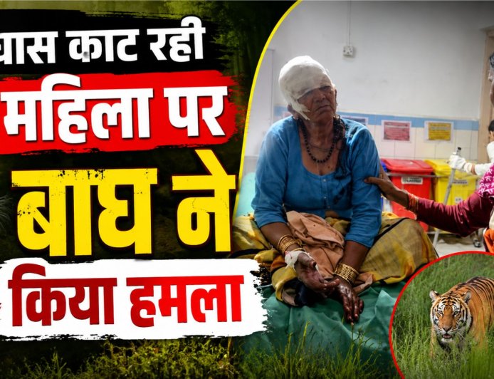 बाघ के हमले का शिकार हुई महिला, बहू ने दिखाई हिम्मत और बचाई जान, इलाके में फैली दहशत