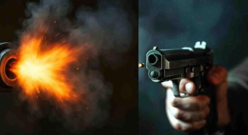 उत्तराखंड: ऋषिकेश में मां ने शराब पीने से टोका तो बेटे ने गोली मारी - एक दर्दनाक घटना