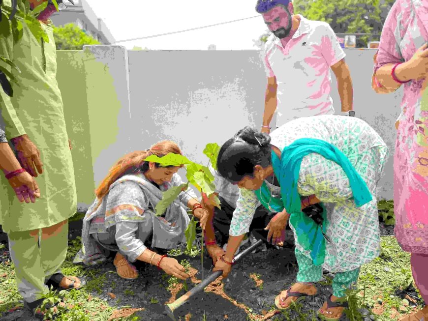 उत्तराखंड में हरेला पर्व पर दीप्ति रावत भारद्वाज ने किया वृक्षारोपण, पर्यावरण संरक्षण के लिए उठाया कदम