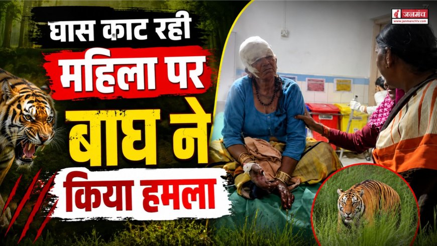 बाघ के हमले का शिकार हुई महिला, बहू ने दिखाई हिम्मत और बचाई जान, इलाके में फैली दहशत