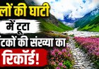उत्तराखंड की फूलों की घाटी में पर्यटकों की संख्या ने तोड़ा रिकॉर्ड, 22,745 सैलानी पहुंचे