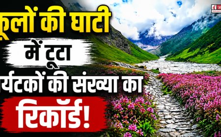 उत्तराखंड की फूलों की घाटी में पर्यटकों की संख्या ने तोड़ा रिकॉर्ड, 22,745 सैलानी पहुंचे