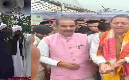 Uttarakhand News: मुख्यमंत्री धामी का कड़ा संदेश, रुद्रपुर मामले में कार्यवाही तय