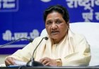 मायावती का संगठन में ऐतिहासिक बदलाव, पार्टी कार्य को तीन सेक्टरों में बांटा