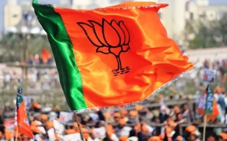 बिना संगठन मंत्री और प्रदेश प्रभारी के हो रही 2027 की तैयारी!, संगठन पर पड़ेगा असर